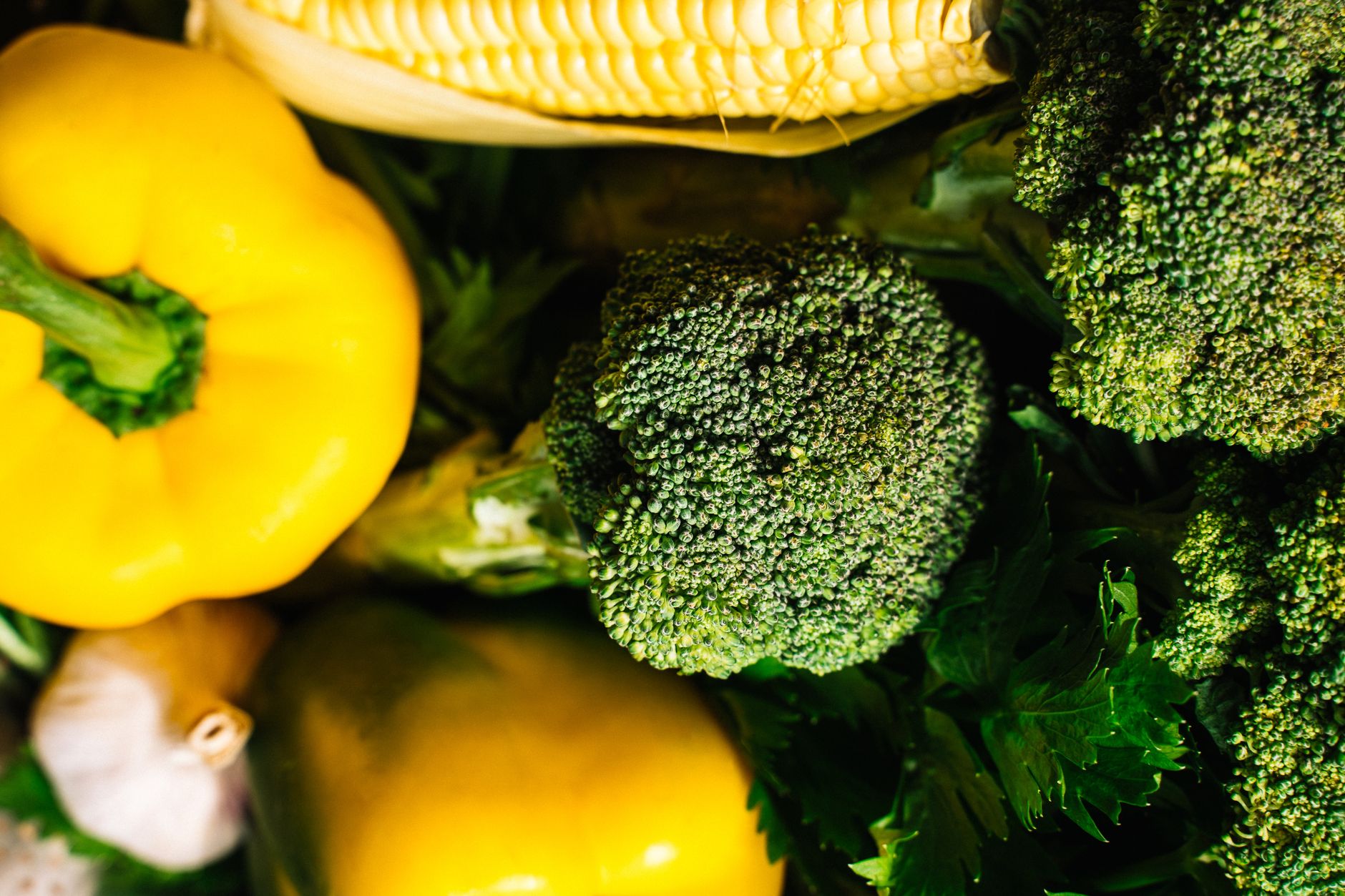 Vegetais amigos da imunidade: brócolis, pimentão e alho